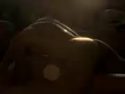 Tilda Swinton - I Am Love (2009)