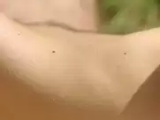 Tilda Swinton - I Am Love (2009)