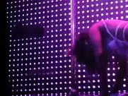 Jennifer Lopez stripper scene in Hustlers (2019)