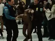 Marsha Stephanie Blake - Luce (2019)