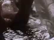 Diane Lane sex scenes in Unfaithful (2002)