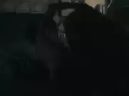 Maja Ostaszewska - Ja teraz kłamię (2019)