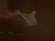 Dana Delany, Stephanie Niznik - Exit to Eden  (1994)