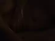 Rachel Griffiths - Mammal (2016)