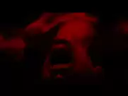 Peri Baumeister - Peitruss (2019) from Max Jacoby