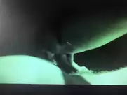 Peri Baumeister - Peitruss (2019) from Max Jacoby