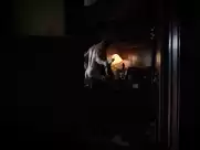 Anna Camp sex in True Blood s06e05 (2013)