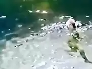 Marilyn Monroe nude in Something's Got  to Give (1962)