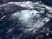 Cheryl Ladd, Jaclyn Smith - Charlie's Angels (1977)