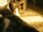 Shantel VanSanten - The Boys s01e04 (2019)