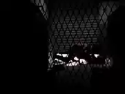 Lauren Cohan - The Walking Dead s03e13 (2012)