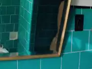 Carol Duarte nude in Invisible Life (2019)