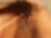 Cephalic Carnage - Ohrwurm