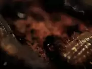 Cephalic Carnage - Ohrwurm