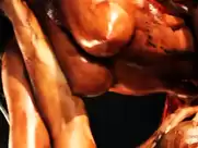 Cephalic Carnage - Ohrwurm