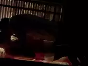 Nina Dobrev, Candice Accola - The Vampire Diaries s06e13-17 (2015)