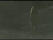 Lucie Lucas - Amor Quântico (2018)