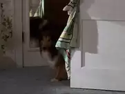 Kelly Preston nude in Mischief (1985)