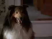 Kelly Preston nude in Mischief (1985)