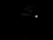 Tamara Krcunovic - La derniere plaine (2013)