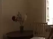 Becca Hirani, Tara MacGowran nude - Darker Shades of Elise (2017)