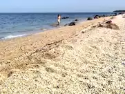 Nahanni Johnstone - Infested (2002)