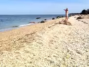 Nahanni Johnstone - Infested (2002)