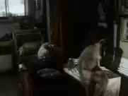 Zoe Hendry - Therese Raquin - 1980