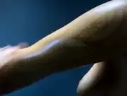 Eva Green - Proxima (2019, + slow-mo)