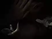 Anna Grisebach nude in Nachthelle (2015)