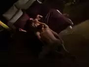 Kim Dickens touch penis in Out of Order (2003)