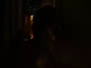 Selma Blair, Stana Katic, Alexa Davalos nude in Feast of Love (2007)