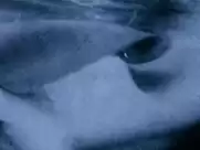 Vica Kerekes sex in 1 (2009)