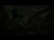 Camille Constantin - Moah