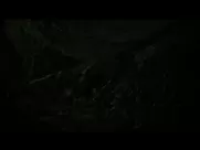 Camille Constantin - Moah