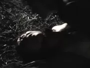 Noomi Rapace - The Secrets We Keep (2020)