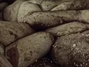 Doroteya Toleva, Ester Chardaklieva, Yana Marinova nude in Bullets of Justice (2019)