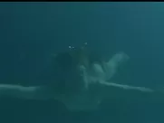 Karolina Lodyga nude in In the Face of Crime (2010)