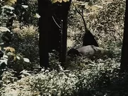 Hwang Geum-hee, Lee Joo-hee Nude - Couple In The Forest (2017) sex in cinema mainstream