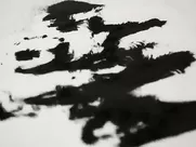 Sagmeister & Walsh Interview hot sex scene