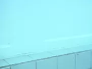 Celebs video of Sarah Shahi and Katherine Moennig licking snatches in The L Word hottest sex scenes