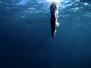 FA nude commercial hot sex scenes porn