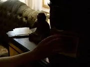 Polly Shannon, Lauren Lee Smith nude - Lie with Me (2005) lingerie sex scene