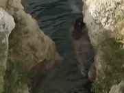 Phoebe Cates Paradise (1982) mainstream sex in the cinema