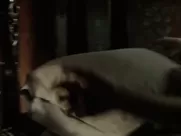 Charlene Almarvez nude - City on a Hill s01e01 (2019) movie sex scenes porn