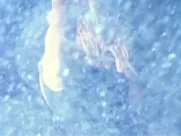 Pamela Anderson Nude - Barb Wire (1996) Striptease famous sex scenes