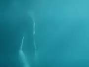 Fleur Geffrier nude – Mon Ange (2016) best sex scenes porn