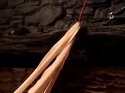 Heather Graham BDSM Sex Scene oral sex in mainstream cinema