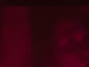 Sarah Hay nude – Flesh and Bone s01e03 (2015) explicit sex scene