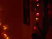 Nude Anna Laimanee sexy - Kunststucke (2019) mainstream cinema real sex scenes